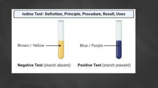 BIOCHEM CARBOHYDRATES