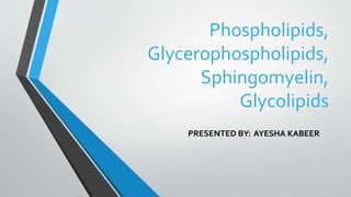 Phospholipids,
Glycerophospholipids,
Sphingomyelin,
Glycolipids
PRESENTED BY: AYESHA KABEER
 