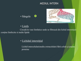 MEDIUL INTERN
• Sângele
• Limfa
• Lichidul interstiţial
Circulă în vase limfatice unde se filtrează din lichid interstiţial-
conţine limfocite si multe lipide
Lichid intercelular(mediu extracelular) fără celule şi puţine
proteine
 