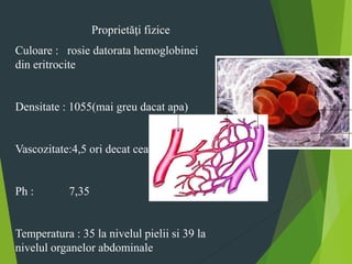 Culoare : rosie datorata hemoglobinei
din eritrocite
Densitate : 1055(mai greu dacat apa)
Vascozitate:4,5 ori decat cea a apei
Ph : 7,35
Temperatura : 35 la nivelul pielii si 39 la
nivelul organelor abdominale
Proprietăţi fizice
 