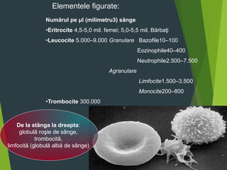 Elementele figurate:
Numărul pe μl (milimetru3) sânge
•Eritrocite 4,5-5,0 mil. femei; 5,0-5,5 mil. Bărbaţi
•Leucocite 5.000–9.000 Granulare Bazofile10–100
Eozinophile40–400
Neutrophile2.500–7.500
Agranulare
Limfocite1.500–3.500
Monocite200–800
•Trombocite 300.000
De la stânga la dreapta:
globulă roşie de sânge,
trombocită,
limfocită (globulă albă de sânge)
 