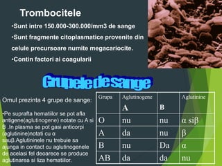 Trombocitele
•Sunt intre 150.000-300.000/mm3 de sange
•Sunt fragmente citoplasmatice provenite din
celule precursoare numite megacariocite.
•Contin factori ai coagularii
Grupa Aglutinogene
A B
Aglutinine
O nu nu α siβ
A da nu β
B nu Da α
AB da da nu
Omul prezinta 4 grupe de sange:
•Pe suprafta hematiilor se pot afla
antigene(aglutinogene) notate cu A si
B .In plasma se pot gasi anticorpi
(aglutinine)notati cu α
sauβ.Aglutininele nu trebuie sa
ajunga in contact cu aglutinogenele
de acelasi fel deoarece se produce
aglutinarea si liza hematiilor.
 