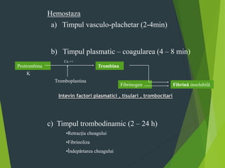 Hemostaza
a) Timpul vasculo-plachetar (2-4min)
b) Timpul plasmatic – coagularea (4 – 8 min)
c) Timpul trombodinamic (2 – 24 h)
Protrombina Trombina
Tromboplastina
Ca ++
Fibrinogen Fibrină insolubilă
K
Intevin factori plasmatici , tisulari , trombocitari
•Retracţia cheagului
•Fibrinoliza
•Îndepărtarea cheagului
 
