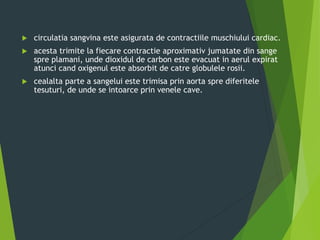  circulatia sangvina este asigurata de contractiile muschiului cardiac.
 acesta trimite la fiecare contractie aproximativ jumatate din sange
spre plamani, unde dioxidul de carbon este evacuat in aerul expirat
atunci cand oxigenul este absorbit de catre globulele rosii.
 cealalta parte a sangelui este trimisa prin aorta spre diferitele
tesuturi, de unde se intoarce prin venele cave.
 