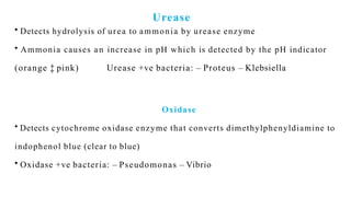 Urease
• Detects hydrolysis of urea to ammonia by urease enzyme
• Ammonia causes an increase in pH which is detected by the pH indicator
(orange ‡ pink) Urease +ve bacteria: – Proteus – Klebsiella
Oxidase
• Detects cytochrome oxidase enzyme that converts dimethylphenyldiamine to
indophenol blue (clear to blue)
• Oxidase +ve bacteria: – Pseudomonas – Vibrio
 