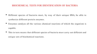  Different species of bacteria must, by way of their unique DNA, be able to
synthesize different protein enzymes.
 Enzymes catalyze all the various chemical reactions of which the organism is
capable.
 This in turn means that different species of bacteria must carry out different and
unique sets of biochemical reactions.
BIOCHEMICAL TESTS FOR IDENTIFICATION OF BACTERIA
 