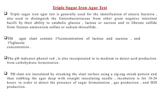 Triple Sugar Iron Agar Test
 Triple sugar iron agar test is generally used for the identification of enteric bacteria ,
also used to distinguish the Enterobacteriaceae from other gram negative intestinal
bacilli by their ability to catabolic glucose , lactose or sucrose and to liberate sulfide
from freeous ammonium sulfate or sodium thiosulfide .
TSI agar slant contain 1%concentration of lactose and sucrose , and
1%glucose
concentration .
The pH indicator phenol red , is also incorporated in to medium to detect acid production
from carbohydrate fermentation .
 TSI slant are inoculated by streaking the slant surface using a zig-zag streak pattern and
than stabbing the agar deep with straight inoculating needle , incubation is for 18-24
hours in order to detect the presence of sugar fermentation , gas production , and H2S
production .
 