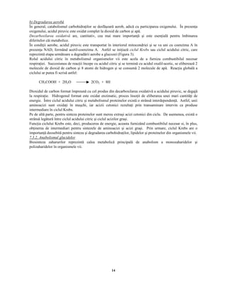 14
%  
£
¨  § ¥  ¥ § ¨ ¥ ¥ ¨ §  % 
În general, catabolismul carbohidra ilor se desfăşoară aerob, adică cu participarea oxigenului. În prezen a
oxigenului, acidul piruvic este oxidat complet la dioxid de carbon şi apă.
£
¨ ¦ ¥ § %    ¢  ¥ § ¨ ¥    ¢  ¥ ¡ ¢ 
are, cantitativ, cea mai mare importan ă şi este esen ială pentru îmbinarea
diferitelor căi metabolice.
În condi ii aerobe, acidul piruvic este transportat în interiorul mitocondriei şi se va uni cu coenzima A în
prezen a NAD, formând acetil-coenzima A. Astfel se ini iază ¦ ¢ ¦      § ¨ % ©
sau ciclul acidului citric, care
reprezintă etapa următoare a degradării aerobe a glucozei (Figura 3).
Rolul acidului citric în metabolismul organismelor vii este acela de a furniza combustibilul necesar
respira iei. Succesiunea de reac ii începe cu acidul citric şi se termină cu acidul oxalil-acetic, se eliberează 2
molecule de dioxid de carbon şi 8 atomi de hidrogen şi se consumă 2 molecule de apă. Reac ia globală a
ciclului ar putea fi scrisă astfel:
CH3COOH + 2H2O 2CO2 + 8H
Dioxidul de carbon format împreună cu cel produs din decarboxilarea oxidativă a acidului piruvic, se degajă
la respira ie. Hidrogenul format este oxidat enzimatic, proces înso it de eliberarea unei mari cantită i de
energie. Între ciclul acidului citric şi metabolismul proteinelor există o strânsă interdependen ă. Astfel, unii
aminoacizi sunt oxida i în muşchi, iar acizii cetonici rezulta i prin transaminare intervin ca produse
intermediare în ciclul Krebs.
Pe de altă parte, pentru sinteza proteinelor sunt mereu extraşi acizi cetonici din ciclu. De asemenea, există o
strânsă legătură între ciclul acidului citric şi ciclul acizilor graşi.
Func ia ciclului Krebs este, deci, producerea de energie, aceasta furnizând combustibilul necesar si, în plus,
ob inerea de intermediari pentru sintezele de aminoacizi şi acizi graşi. Prin urmare, ciclul Krebs are o
importan ă deosebită pentru sinteza şi degradarea carbohidra ilor, lipidelor şi proteinelor din organismele vii.
 
¡ ¤ ¡   ¡
$
£ ¥ %   ¢ ©       ¦ ¢  ¨   §
Biosinteza zaharurilor reprezintă calea metabolică principală de anabolism a monozaharidelor şi
polizaharidelor în organismele vii.
 