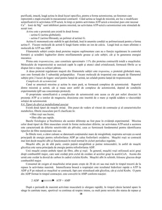18
purificată, intactă, leagă actina în două locuri specifice, pentru a forma actomiozina, un fenomen care
reprezintă o etapă crucială în mecanismul contractil. Când actina se leagă de miozină, are loc o modificare
semnificativă în activitatea ATP-azică, în timp ce pentru activitatea ATP-azică a miozinei pure este necesar
Ca2+
. Ionii de Mg2+
sunt inhibitori pentru miozină, iar activitatea ATP-azică a actomiozinei este stimulată de
aceşti ioni.$
¦ ¡ ¢ £ ¥
este o proteină care există în două forme:
- actina G (actina globulară);
- actina F (actina fibroasă), un polimer al actinei G.
Actina G monomeră este stabilă în apă distilată, însă în anumite condi ii se polimerizează pentru a forma
actina F. Fiecare moleculă de actină G leagă foarte strâns un ion de calciu. Leagă însă cu mare afinitate o
moleculă de ATP sau ADP.
Filamentele sub iri con in două proteine majore suplimentare care au o func ie regulatoare în controlul
formării şi scindării legăturilor dintre miofilamentele groase şi cele sub iri, cât şi în generarea energiei
mecanice.
Prima este ¡ §     ¢   ¢ £ ¥
, care constituie aproximativ 11% din proteina contractilă totală a muşchiului.
Moleculele de tropomiozină se asociază capăt la capăt şi atunci când cristalizează, formează fibrile ce se
dispun într-o re ea cu ochiuri pătrate.
A doua proteină regulatoare majoră din filamentele sub iri este ¡ §    £ ¢ £ ¥
, o proteină globulară mare,
care este formată din 3 subunită i polipeptidice. Fiecare moleculă de troponină este ataşată de filamentul
sub ire prin 2 locuri de legare: unul pentru lan ul de actină, iar celalalt pentru lan ul de tropomiozină.

    ¨   ¨  ¨  ¨ ¥ ¦ ¡   ¢   ¢ £ 
Cand se amestecă miozina şi actina în stare pură, se formează complexe de actomiozină. Raportul
dintre miozină şi actină, cât şi masa unor astfel de complexe de actomiozină, depind de condi iile
experimentale (pH sau concentra ie proteică).
O proprietate semnificativă a complexelor de actomiozină este aceea ca ele pot suferi disocieri în
prezen a ATP şi a ionilor de magneziu; disocierea este insotită de o mare şi rapidă scădere a vâscozită ii
solu iei de actomiozină.
¡ ¡ ¦ ¡ ¡
¢   § ¢  ¨ ¨ !  § ¡   ¢  ¨ ¡ ¥ %   ¢ ©    ¥ ©  ¦ ¢ ¥ ¡
Există două tipuri de muşchi stria i. Din punct de vedere al vitezei de contrac ie şi al caracteristicilor
metabolice, fibrele musculare pot fi clasificate în:
• fibre roşii sau încete;
• fibre albe sau rapide.
Bazele fiziologice şi biochimice ale acestor diferen e au fost puse în eviden ă experimental. Miozina
celor două tipuri de fibre musculare există în forme moleculare diferite, iar activitatea ATP-azică a acestora
este caracterizată de diferite senzitivităti ale pH-ului, ceea ce furnizează fundamentul pentru identificarea
tipurilor de fibre men ionate mai sus.
În fibrele rosii, a căror culoare se datorează con inutului mare de mioglobină, respiratia serveşte ca sursă
principală de energie pentru refosforilarea ADP pe calea fosforilarii oxidative. Muşchii roşii se contractă
mai lent decât muşchii albi şi func ionează în mod normal în cicluri periodice regulate.
Muşchii albi, pe de altă parte, con in pu ină mioglobină şi putine mitocondrii; în astfel de muşchi
glicoliza este sursa principala de energie pentru refosforilarea ADP.
Unii muşchi con in ambele tipuri de fibre, albe şi roşii. În general, muşchii roşii utilizează acizi graşi
drept combustibîl major, care sunt oxida i prin ciclul de oxidare al acizilor graşi la acetil-CoA. Acesta din
urmă este oxidat la dioxid de carbon în cadrul ciclului Krebs. Muşchii albi în schimb, folosesc glucoza drept
combustibil major.
Consumul de oxigen al muşchiului striat poate creşte de 20 de ori sau mai mult în timpul trecerii de la
repaus la activitatea maximă. Intensificarea bruscă a respira iei este rezultatul hidrolizei rapide a ATP la
ADP şi P pe măsură ce muşchiul se contractă, fapt care stimulează atât glicoliza, cât şi ciclul Krebs. O parte
din ADP format în timpul contrac iei, este convertit în AMP conform reac iei:
2 ADP ATP + AMP
După o perioadă de maximă activitate musculară (o alergare rapidă), în timpul căreia lactatul apare în
sânge în cantitate mare, sportivul va continua să respire intens, cu mult peste nevoile din starea de repaus şi
 