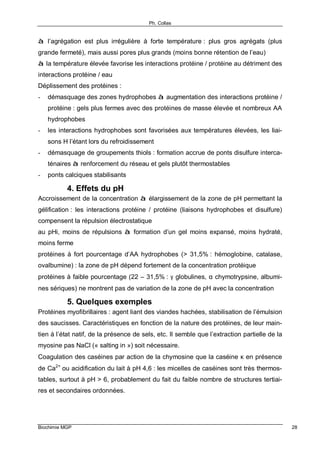 Ph. Collas
Biochimie MGP 28
à l’agrégation est plus irrégulière à forte température : plus gros agrégats (plus
grande fermeté), mais aussi pores plus grands (moins bonne rétention de l’eau)
à la température élevée favorise les interactions protéine / protéine au détriment des
interactions protéine / eau
Déplissement des protéines :
- démasquage des zones hydrophobes à augmentation des interactions protéine /
protéine : gels plus fermes avec des protéines de masse élevée et nombreux AA
hydrophobes
- les interactions hydrophobes sont favorisées aux températures élevées, les liai-
sons H l’étant lors du refroidissement
- démasquage de groupements thiols : formation accrue de ponts disulfure interca-
ténaires à renforcement du réseau et gels plutôt thermostables
- ponts calciques stabilisants
4. Effets du pH
Accroissement de la concentration à élargissement de la zone de pH permettant la
gélification : les interactions protéine / protéine (liaisons hydrophobes et disulfure)
compensent la répulsion électrostatique
au pHi, moins de répulsions à formation d’un gel moins expansé, moins hydraté,
moins ferme
protéines à fort pourcentage d’AA hydrophobes (> 31,5% : hémoglobine, catalase,
ovalbumine) : la zone de pH dépend fortement de la concentration protéique
protéines à faible pourcentage (22 – 31,5% : γ globulines, α chymotrypsine, albumi-
nes sériques) ne montrent pas de variation de la zone de pH avec la concentration
5. Quelques exemples
Protéines myofibrillaires : agent liant des viandes hachées, stabilisation de l’émulsion
des saucisses. Caractéristiques en fonction de la nature des protéines, de leur main-
tien à l’état natif, de la présence de sels, etc. Il semble que l’extraction partielle de la
myosine pas NaCl (« salting in ») soit nécessaire.
Coagulation des caséines par action de la chymosine que la caséine κ en présence
de Ca2+
ou acidification du lait à pH 4,6 : les micelles de caséines sont très thermos-
tables, surtout à pH > 6, probablement du fait du faible nombre de structures tertiai-
res et secondaires ordonnées.
 