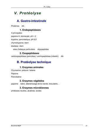 Ph. Collas
Biochimie MGP 31
V. Protéolyse
A. Gastro-intestinale
Protéines ⇒ AA
1. Endopeptidases
4 principales:
pepsine A: stomacale, pH < 2
trypsine: pancréatique, pH 8,0
chymotrypsine; idem
élastase: idem
⇒ sites d'attaque particuliers ⇒ oligopeptides
2. Exopeptidases
carboxypeptidase (pancréas) / aminopeptidase (intestin) ⇒ AA
B. Protéolyse technique
1. Enzymes animales
Chymosine: présure / laiterie
Pepsine
Pancréatine
2. Enzymes végétales
papaïne ⇒ bière, attendrissage de la viande, biscuiterie,…
3. Enzymes microbiennes
protéases neutres, alcalines, acides
 