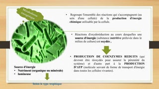 • Regroupe l'ensemble des réactions qui s'accompagnent (au
sein d'une cellule) de la production d'énergie
chimique utilisable par la cellule.
• Réactions d'oxydoréduction au cours desquelles une
source d'énergie (substance nutritive prélevée dans le
milieu de culture) est oxydée ,
• PRODUCTION DE COENZYMES REDUITS (qui
devront être réoxydés pour assurer la pérennité du
système) et d'autre part à la PRODUCTION
D'ATP (molécule servant de forme de transport d'énergie
dans toutes les cellules vivantes).
Source d'énergie
• Nutriment (organique ou minérale)
• lumineuse
Selon le type trophique
 