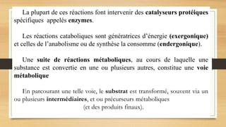 La plupart de ces réactions font intervenir des catalyseurs protéiques
spécifiques appelés enzymes.
Les réactions cataboliques sont génératrices d’énergie (exergonique)
et celles de l’anabolisme ou de synthèse la consomme (endergonique).
Une suite de réactions métaboliques, au cours de laquelle une
substance est convertie en une ou plusieurs autres, constitue une voie
métabolique
En parcourant une telle voie, le substrat est transformé, souvent via un
ou plusieurs intermédiaires, et ou précurseurs métaboliques
(et des produits finaux).
 