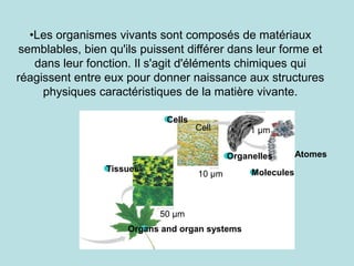 •Les organismes vivants sont composés de matériaux
semblables, bien qu'ils puissent différer dans leur forme et
dans leur fonction. Il s'agit d'éléments chimiques qui
réagissent entre eux pour donner naissance aux structures
physiques caractéristiques de la matière vivante.
Cells
Organs and organ systems
Tissues Molecules
Organelles
50 µm
10 µm
1 µm
Cell
Atomes
 