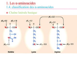 1. Les α-aminoacides
1.4. classification des α-aminoacides
 Chaîne latérale basique
 