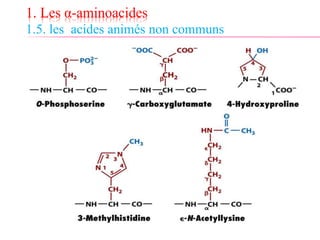1. Les α-aminoacides
1.5. les acides animés non communs
 