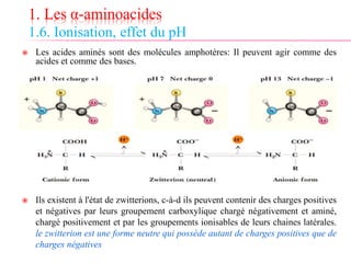 1. Les α-aminoacides
1.6. Ionisation, effet du pH
 Les acides aminés sont des molécules amphotères: Il peuvent agir comme des
acides et comme des bases.
 Ils existent à l'état de zwitterions, c-à-d ils peuvent contenir des charges positives
et négatives par leurs groupement carboxylique chargé négativement et aminé,
chargé positivement et par les groupements ionisables de leurs chaines latérales.
le zwitterion est une forme neutre qui possède autant de charges positives que de
charges négatives
 