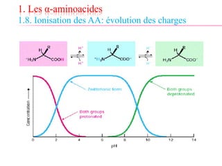 1. Les α-aminoacides
1.8. Ionisation des AA: évolution des charges
 