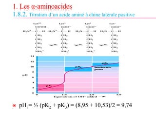 1. Les α-aminoacides
1.8.2. Titration d’un acide aminé à chine latérale positive
 pHi = ½ (pK2 + pK3) = (8,95 + 10,53)/2 = 9,74
 