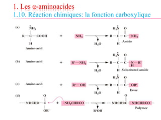 1. Les α-aminoacides
1.10. Réaction chimiques: la fonction carboxylique
 