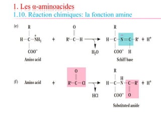 1. Les α-aminoacides
1.10. Réaction chimiques: la fonction amine
 