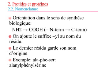 2. Protides et protéines
2.2. Nomenclature
 Orientation dans le sens de synthèse
biologique:
NH2 → COOH (= N-term → C-term)
 On ajoute le suffixe –yl au nom du
résidu.
 Le dernier résidu garde son nom
d’origine
 Exemple: ala-phe-ser:
alanylphénylsérine
 