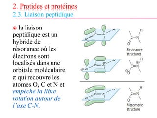 2. Protides et protéines
2.3. Liaison peptidique
 la liaison
peptidique est un
hybride de
résonance où les
électrons sont
localisés dans une
orbitale moléculaire
π qui recouvre les
atomes O, C et N et
empêche la libre
rotation autour de
l’axe C-N.
 
