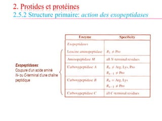 2. Protides et protéines
2.5.2 Structure primaire: action des exopeptidases
 