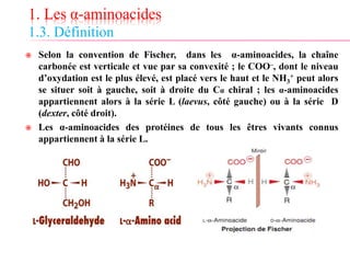 1. Les α-aminoacides
1.3. Définition
 Selon la convention de Fischer, dans les α-aminoacides, la chaîne
carbonée est verticale et vue par sa convexité ; le COO–, dont le niveau
d’oxydation est le plus élevé, est placé vers le haut et le NH3
+ peut alors
se situer soit à gauche, soit à droite du Cα chiral ; les α-aminoacides
appartiennent alors à la série L (laevus, côté gauche) ou à la série D
(dexter, côté droit).
 Les α-aminoacides des protéines de tous les êtres vivants connus
appartiennent à la série L.
 