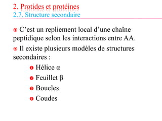 2. Protides et protéines
2.7. Structure secondaire
 C’est un repliement local d’une chaîne
peptidique selon les interactions entre AA.
 Il existe plusieurs modèles de structures
secondaires :
 Hélice α
 Feuillet β
 Boucles
 Coudes
 