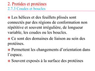 2. Protides et protéines
2.7.3 Coudes et boucles
 Les hélices et des feuillets plissés sont
connectés par des régions de conformation non
répétitive et souvent irrégulière, de longueur
variable, les coudes ou les boucles.
 Ce sont des domaines de liaison au sein des
protéines.
 Permettent les changements d’orientation dans
l’espace.
 Souvent exposés à la surface des protéines
 