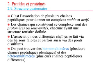 2. Protides et protéines
2.9. Structure quaternaire
 C’est l’association de plusieurs chaînes
peptidiques pour donner un complexe stable et actif.
 Les chaînes qui constituent ce complexe sont des
protomères ou sous-unités, chacune ayant une
structure tertiaire définie.
 L’association des différentes chaînes se fait via
des liaisons faibles et parfois aussi via des ponts
disulfures.
 On peut trouver des homomultimères (plusieurs
chaînes peptidiques identiques) et des
hétéromultimères (plusieurs chaînes peptidiques
différentes).
 