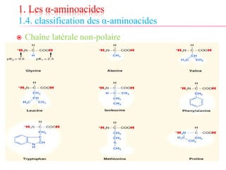 1. Les α-aminoacides
1.4. classification des α-aminoacides
 Chaîne latérale non-polaire
 