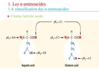 1. Les α-aminoacides
1.4. classification des α-aminoacides
 Chaîne latérale acide
 