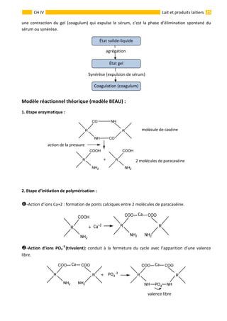  
                                                                                                                                                                 25 
      
CH IV  Lait et produits laitiers
une contraction du gel (coagulum) qui expulse le sérum, c’est la phase d’élimination spontané du 
sérum ou synérèse. 
 
                
 
 
                                                               
 
 
 
Modèle réactionnel théorique (modèle BEAU) : 
1. Etape enzymatique : 
 
 
 
2. Etape d’initiation de polymérisation : 
 
‐Action d’ions Ca+2 : formation de ponts calciques entre 2 molécules de paracaséine. 
 
‐Action  d’ions  PO4
‐3 
(trivalent):  conduit à la  fermeture du cycle avec l’apparition d’une valence 
libre. 
 
Coagulation (coagulum)
État gel 
État solide‐liquide 
Synérèse (expulsion de sérum)
agrégation
 