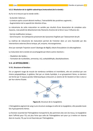 34 
    
CHV   Viandes et poissons
 Résolution de la rigidité cadavérique (maturation) de la viande) : 
Au fur et à mesure que la viande vieille : 
‐ Sa dureté s’attenue ; 
‐ La texture après cuisant dévient meilleur, l’extractibilité des protéines augmente ; 
‐ Augmentation de la capacité de rétention d’eau. 
Le  mécanisme  de  cette  maturation  ne  semble  pas  résultat  d’une  dissociation  de  complexe  acto‐
myosine, mais plutôt de détachement des filaments d’actine de la Strie Z sous l’influence de : 
‐ Soit de modification ionique ; 
‐ Soit d’enzyme : les Cathepsines provenant des lysosomes fragilisés par l’abaissement de pH. 
La  maîtrise  de  mécanisme  de  maturation  permet  de  l’orienter  dans  un  sens  favorable  par  des 
interventions externes (force ionique, pH, enzyme, microorganismes. 
Ainsi par exemple l’injection avant l’abattage de MgSO4 réduit d’exsudation à la décongélation. 
La maturation de la viande est accompagnée par divers autres réactions : 
‐  Oxydation des lipides ; 
‐  Formation de nucléotides, ammoniac, H2S, acétylaldéhyde, diacétyleacétone. 
V.4. LA MYOGLOBINE : 
 Structure et fonction : 
Est un pigment rouge de muscle de nombreux vertèbres et invertébrés, elle est constitué par une 
chaine polypeptidique, la globine, fixé par un résidu hystidyle, à un groupement hème, ce derniers 
est formé par 4 noyaux pyroles hétérocycliques entourant un atome de fer bivalent et liée à celui‐ci 
par leur atome d’azote. 
 
   
 
     
 
Figure.15. Structure de la myoglobine. 
L’hémoglobine pigment de sang à une structure analogue à celle de la myoglobine, elle possède toute 
fois 4 groupements hèmes. 
La fonction essentiel de l’hémoglobine transporté O2 des pommons des vers les tissus, la myoglobine 
dont l’affinité pour l’O2 est plus forte que celle de l’hémoglobine sert pour ça à mettre en réserve 
dans le muscle, l’O2 qui lui est favorisée par l’hémoglobine. 
 
N
N 
N 
H2O  N
globine 
Fe+2
.3.2.V
V. .1.4
 