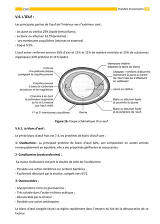 39CHV Viandes et poissons
V.6. L’ŒUF :
Les principales parties de l’œuf de l’intérieur vers l’extérieur sont :
- Le jaune ou vitellus 29% (lipide (émulsifiant) ;
- Le blanc ou albumen 61.5%(protéine) ;
- Les membranes coquillières (internes et externes)
- Coqué 9.5%.
L’œuf entier renferme environ 65% d’eau et 11% et 11% de matière minérale et 23% de substances
organiques (12% protéine et 11% lipide).
Figure.16. Coupe schématique d’un œuf.
V.6.1. Le blanc d’œuf :
Le pH de blanc d’œuf frais est 7.4, les protéines de blanc d’œuf sont :
1- Ovalbumine : La principale protéine de blanc d’œuf 60%, son composition en acides aminés
remarquablement en équilibre, elle a des propriétés gélifiantes et moussantes.
2- Conalbumine (ovotransferrine) :
Sa masse moléculaire est prés le double de celle de l’ovalbumine
- Possède une action inhibitrice sur certains bactéries ;
- Facilement dénaturé par la chaleur, congelé vers 63°C.
3- Ovomucoides :
- Glycoprotéine riche en glucosamine ;
- Très soluble dans l’acide trichloro-acétique ;
- Dénaturable par la chaleur ;
- Possède une action antitrypsine.
Le blanc d’œuf congelé (dure) se digère rapidement dans l’intestin du fait de la dénaturation de ce
facteur.
 