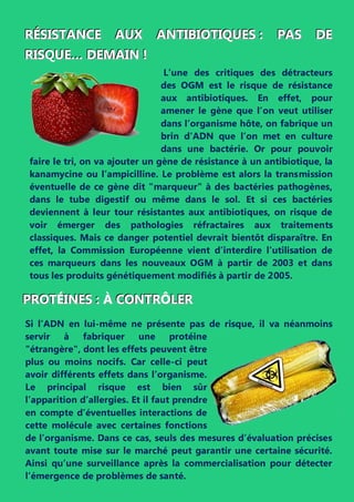 L’une des critiques des détracteurs
des OGM est le risque de résistance
aux antibiotiques. En effet, pour
amener le gène que l’on veut utiliser
dans l’organisme hôte, on fabrique un
brin d’ADN que l’on met en culture
dans une bactérie. Or pour pouvoir
faire le tri, on va ajouter un gène de résistance à un antibiotique, la
kanamycine ou l’ampicilline. Le problème est alors la transmission
éventuelle de ce gène dit "marqueur" à des bactéries pathogènes,
dans le tube digestif ou même dans le sol. Et si ces bactéries
deviennent à leur tour résistantes aux antibiotiques, on risque de
voir émerger des pathologies réfractaires aux traitements
classiques. Mais ce danger potentiel devrait bientôt disparaître. En
effet, la Commission Européenne vient d’interdire l’utilisation de
ces marqueurs dans les nouveaux OGM à partir de 2003 et dans
tous les produits génétiquement modifiés à partir de 2005.
Si l’ADN en lui-même ne présente pas de risque, il va néanmoins
servir à fabriquer une protéine
"étrangère", dont les effets peuvent être
plus ou moins nocifs. Car celle-ci peut
avoir différents effets dans l’organisme.
Le principal risque est bien sûr
l’apparition d’allergies. Et il faut prendre
en compte d’éventuelles interactions de
cette molécule avec certaines fonctions
de l’organisme. Dans ce cas, seuls des mesures d’évaluation précises
avant toute mise sur le marché peut garantir une certaine sécurité.
Ainsi qu’une surveillance après la commercialisation pour détecter
l’émergence de problèmes de santé.
RRRÉÉÉSSSIIISSSTTTAAANNNCCCEEE AAAUUUXXX AAANNNTTTIIIBBBIIIOOOTTTIIIQQQUUUEEESSS ::: PPPAAASSS DDDEEE
RRRIIISSSQQUUUEEE……… DDDEEEMMMAAAIIINNN !!!
PPPRRROOOTTTÉÉIIINNNEEESSS ::: ÀÀ CCCOOONNNTTTRRRÔÔLLLEEERRR
 