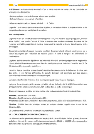 42 
    
CHVI   les graines végétales
b‐ L’albumen : endosperme ou amande) : C’est la partie centrale de graine, elle est constituée par 
une succession de couche ; 
‐ Assise protéique : couche à aleurone très riche en protéine ; 
‐ Celle de l’albumen avec granule (d’amidon) ; 
L’albumen peut être vitreux (cas du blé dur)   Farine 
Le germe : Situé dans la partie inférieure de la graine, il est responsable de la perpétuation de la vie, 
composé par l’embryon protégé par le scutellum. 
VI.1.3. Composition : 
Le graine de blé est constitué essentiellement par de l’eau, des matières organique (glucide, matière 
azoté,  lipides),  aux  quelle  s’associe  à  faible  proportion  des  matières  minérales,  le  graine  de  blé 
renferme une faible proportion de matière grasse dont la majorité se trouve dans le germe et les 
enveloppes. 
Ces constituants (dans le cas de mauvaise condition de conservation), influent négativement sur la 
valeur  boulangère  par  l’élévation  de  l’acidité  grasse  et  sont  à  l’origine  de  phénomène  de 
rancissement. 
Le graine de blé comprend également des matières minérales en faible proportion et inégalement 
réparti. Ainsi 80% des cendres se trouve dans les enveloppes contre 20% dans l’amande, les K,P, Ca, 
Mg possèdent les teneurs les plus élevés. 
L’amidon  (sucre complexe polysaccharide) constitue la majeure partie de l’albumen, il existe sous 
des  tailles  et  des  formes  différentes,  la  granule  d’amidon  est  constituée  par  des  couches 
concentriques alternativement cristalline et amorphe. 
L’amidon est enfermé à l’intérieur de la chaine protéique (réseau visqueux élastique). 
La teneur des graines en matière azotée est faible, elle est de l’ordre de 10 à 12%, les protéines sont 
principalement localisés  dans l’albumen, 70% surtout dans la partie périphérique. 
4 types principaux de protéine ont peut mettre mise en évidence dans les graines de céréale. 
Albumen : Soluble dans l’eau 10ù ; 
Globuline : Soluble dans une solution saline 10% ; 
Prolamines : Soluble dans une solution d’alcool diluée (éthanol), appel dans le cas de blé Gliadine 45%. 
Gluteline :  Soluble  dans  des  solutions  acides  et  basiques  diluées,  appelés  dans  le  cas  de  blé 
Gluténine.35%. 
Les Gliadines et les Gluténines constituent les protéines du Gluten. 
VI.2. CARACTERISTIQUES DES PROTEINES :  
Les albumens et les globulines présentent les propriétés caractéristiques de leur groupe, de nature 
globulaire, elles ont des masses moléculaires comprises entre 10.000 et 100.000, elles correspondent 
dans l’ensemble aux protéines biologiquement fonctionnelles. 
 