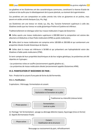 43 
    
CHVI   les graines végétales
Les gliadines et les Gluténines ont des caractéristiques communes, constituent la réserve d’azote de 
carbone et de soufre pour le développement de la jaune plantule, au moment de la germination. 
Ces  protéines  ont  une  composition  en  acides  aminés  très  riche  en  glutamine  et  en  proline,  mais 
pauvre en acides aminés basiques (Lys, His, Arg). 
Les  Gluténines  ont  une  teneur  en  résidu  Lys,  Gly,  Ala,  Tyrosine  fortement  supérieure  à  celle  des 
Gliadines tandis que leur teneur en acide glutamique Proline et Cystéine est inférieur. 
Traditionnellement on distingue selon leur masse moléculaire 3 types de Glutamine : 
‐ Celles ayants une masse moléculaire supérieure à 200 000 dont la composition est voisine des 
albumens et Globulines à Haut Poids moléculaire (HPM) au poids moléculaire ; 
‐ Celles dont la masse moléculaire est comprise entre 100 000 et 200 000 et qui contiennent une 
proportion élevée d’acide Glutamique de Glycine. 
‐  Celles  dont  la  masse  est  inférieure  à  50 000  et  qui  présentent  une  hydrophobicité  voisin  des 
Gliadines à faible poids moléculaire (FPM). 
En tenir compte de leurs propriétés biochimiques et de leur origine génétique, les prolamines ont été 
séparées en 3 groupes : 
‐ Les prolamines riches en souffre (anciennement appelés gliadine w) ; 
‐ Les prolamines de masse moléculaire élevée (anciennement appelés Glutamines HPM). 
VI.3. PANIFICATION ET BIOCHIMIE DE PAIN : 
Pain : Produit de la cuisant d’une pate de farine du blé fermentée. 
VI.3. 1. Panification :  
3 opérations : Pétrissage, Fermentation et cuisant. 
 
                                                                               Traditionnel ou intensifié (vitesse lente) 
 
1)‐ Pointage ‘1ér fermentation) : pesage ou dévisage détente (repos), façonnage (mise en forme) 
2)‐ Apprêt (fermentation finale) 
 
Ressuyage ou rassissement du pain, refroidissement 
Cuisant :
Stabilisation de la structure 
Fermentation :
Levé de la pâte 
Pétrissage :
Hydratation et formation de la pâte 
Phase passive 
Phase active 
 