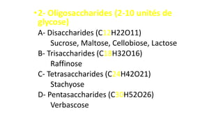 •2- Oligosaccharides (2-10 unités de
glycose)
A- Disaccharides (C12H22O11)
Sucrose, Maltose, Cellobiose, Lactose
B- Trisaccharides (C18H32O16)
Raffinose
C- Tetrasaccharides (C24H42O21)
Stachyose
D- Pentasaccharides (C30H52O26)
Verbascose
 