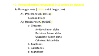 • 3- Polysaccharides(Polyosides) (>10 unités de glycose)
A- Homoglycanes (même unité de glycose)
A1- Pentosanes (C5H8O4)n
Arabans, Xylans
A2- Hexosanes (C6H10O5)n
a- Glucanes
Amidon: liaison alpha
Dextrines: liaison alpha
Glycogène: liaison alpha
Cellulose: liaison bêta
b- Fructanes
c- Galactanes
d- Mannanes
 