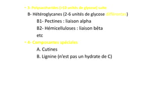 • 3- Polysaccharides (>10 unités de glycose) suite
B- Hétéroglycanes (2-6 unités de glycose différentes)
B1- Pectines : liaison alpha
B2- Hémicelluloses : liaison bêta
etc
• 4- Composantes spéciales
A. Cutines
B. Lignine (n’est pas un hydrate de C)
 