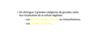 • On distingue 2 grandes catégories de glucides selon
leur localisation ds la cellule végétale:
- Les glucides cytoplasmiques ou intracellulaires,
- Les glucides pariétaux.
 