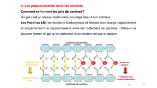 65
4- Les polysaccharide dans les aliments
Comment se forment les gels de pectines?
Un gel c’est un réseau moléculaire qui piège l’eau à son intérieur
Les Pectines LM: les fonctions Carboxylique et Alcools sont chargé négativement
et empêcheraient le rapprochement entre les molécules de pectines. Celles-ci ne
peuvent former de gel qu’en présence d’ion bivalent tel que le calcium.
 