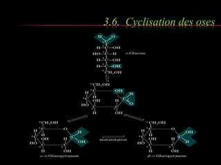 3.6. Cyclisation des oses 
 