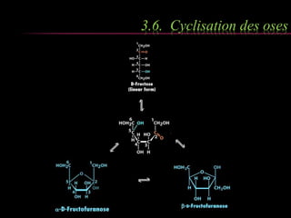 3.6. Cyclisation des oses 
 