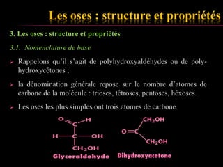 Les oses : structure et propriétés 
3. Les oses : structure et propriétés 
3.1. Nomenclature de base 
 Rappelons qu’il s’agit de polyhydroxyaldéhydes ou de poly-hydroxycétones 
; 
 la dénomination générale repose sur le nombre d’atomes de 
carbone de la molécule : trioses, tétroses, pentoses, héxoses. 
 Les oses les plus simples ont trois atomes de carbone 
 