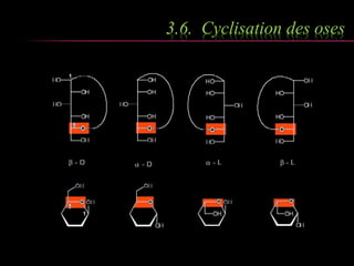 3.6. Cyclisation des oses 
 