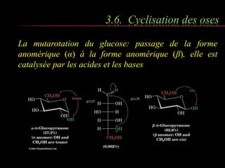 3.6. Cyclisation des oses 
La mutarotation du glucose: passage de la forme 
anomérique (α) à la forme anomérique (β), elle est 
catalysée par les acides et les bases 
 